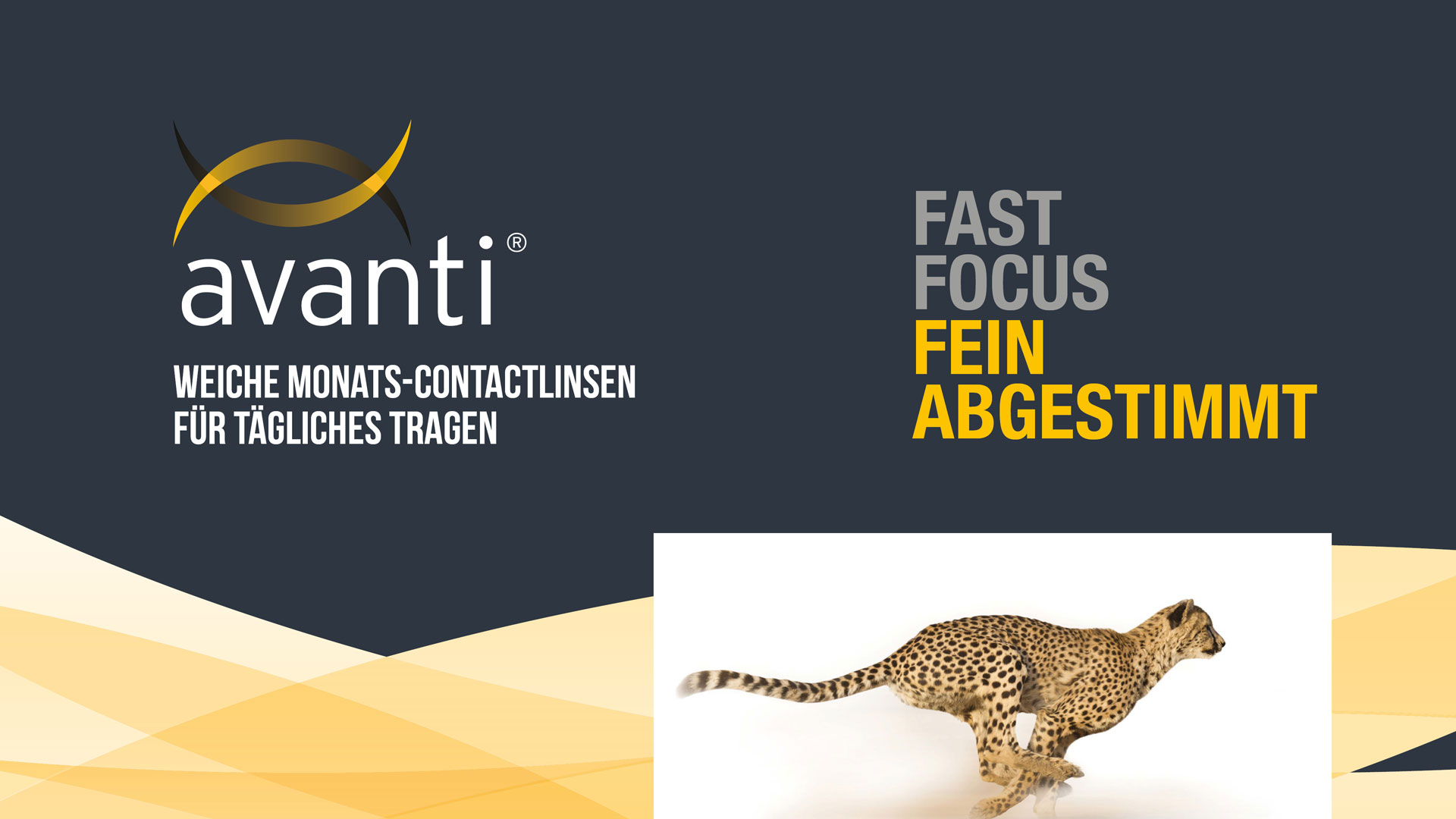 avanti