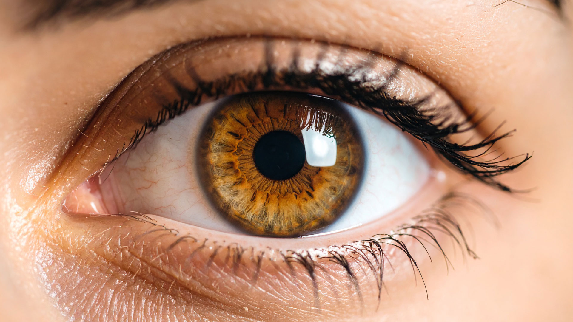 Trockenes Auge